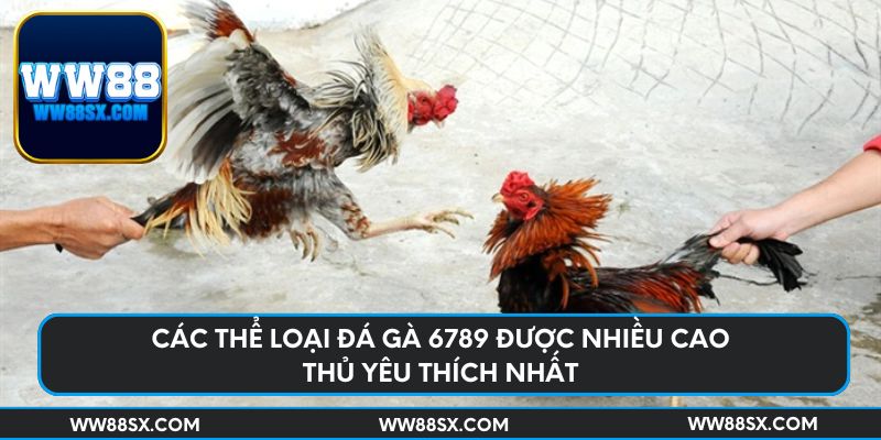 Các thể loại đá gà 6789 được nhiều cao thủ yêu thích nhất